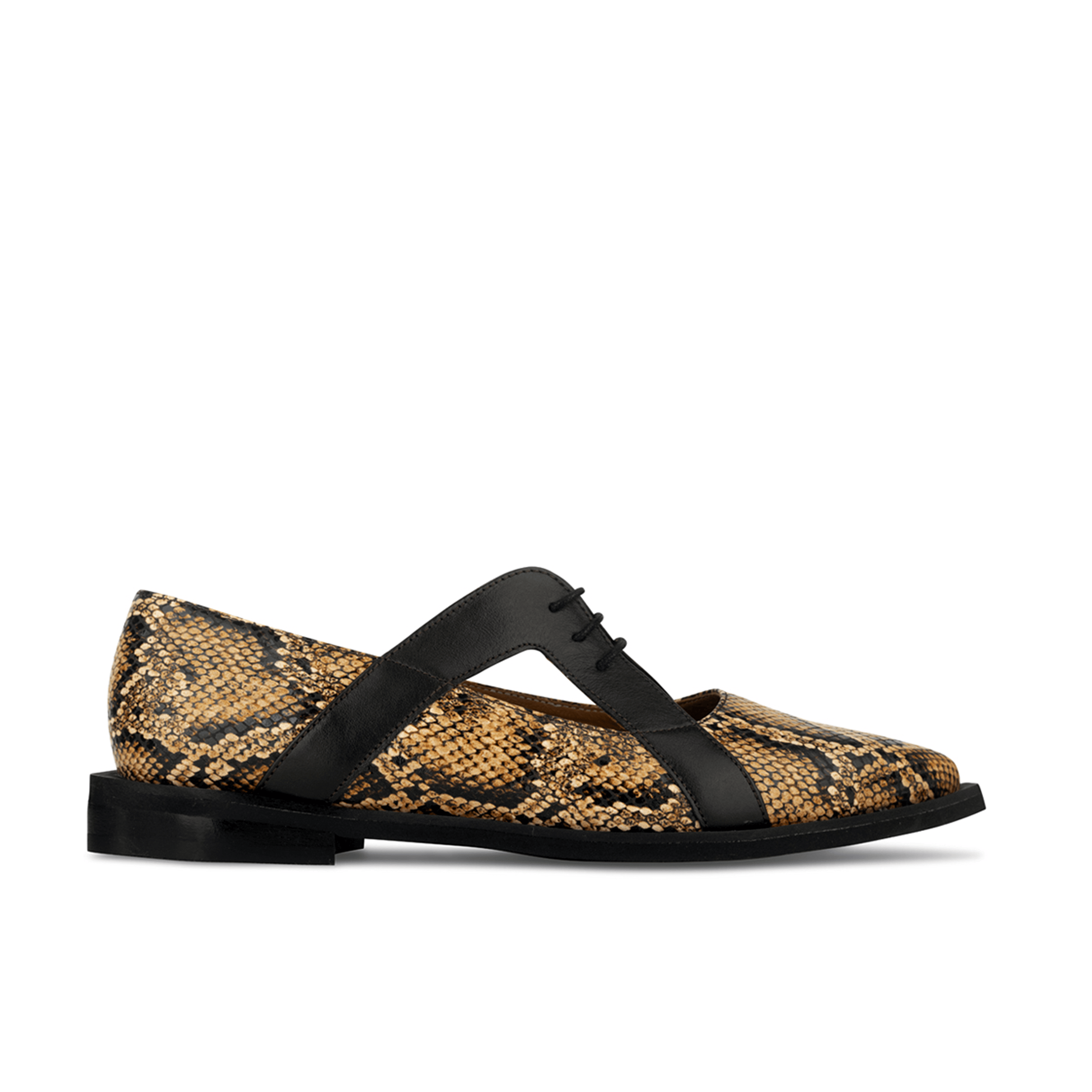 Harlowe - Brown Snake - Women's cutout leather lace up shoe