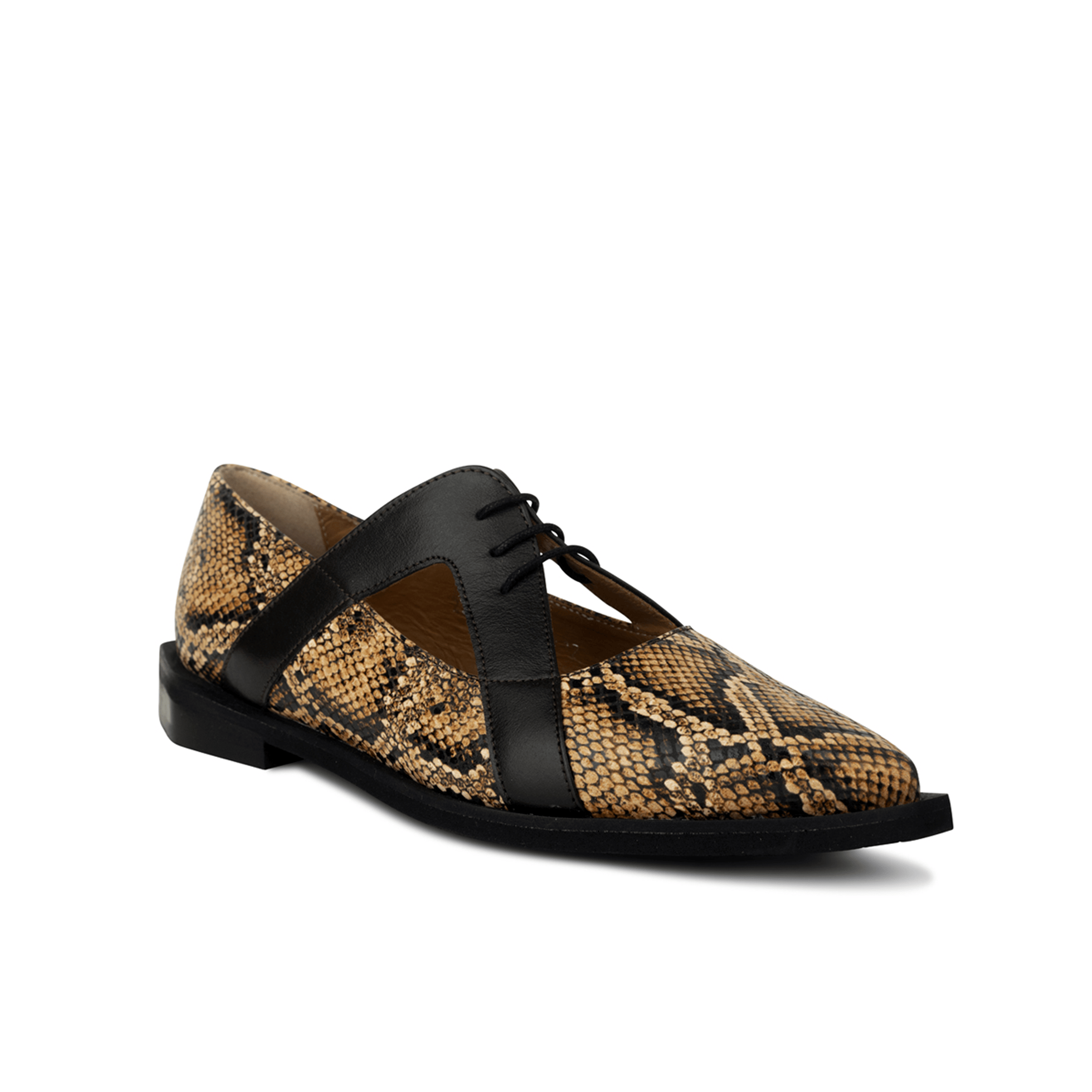 Harlowe - Brown Snake - Women's cutout leather lace up shoe