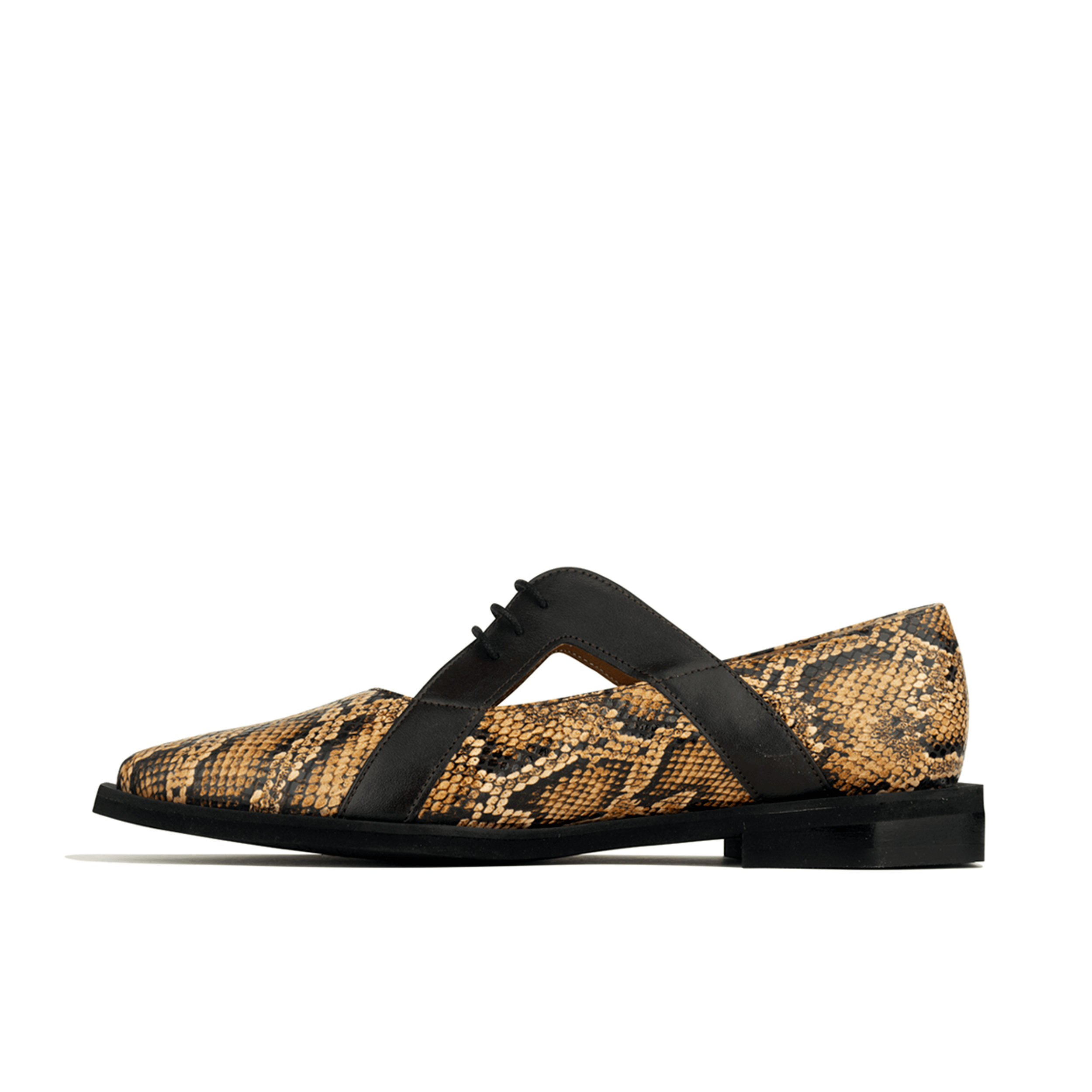 Harlowe - Brown Snake - Women's cutout leather lace up shoe