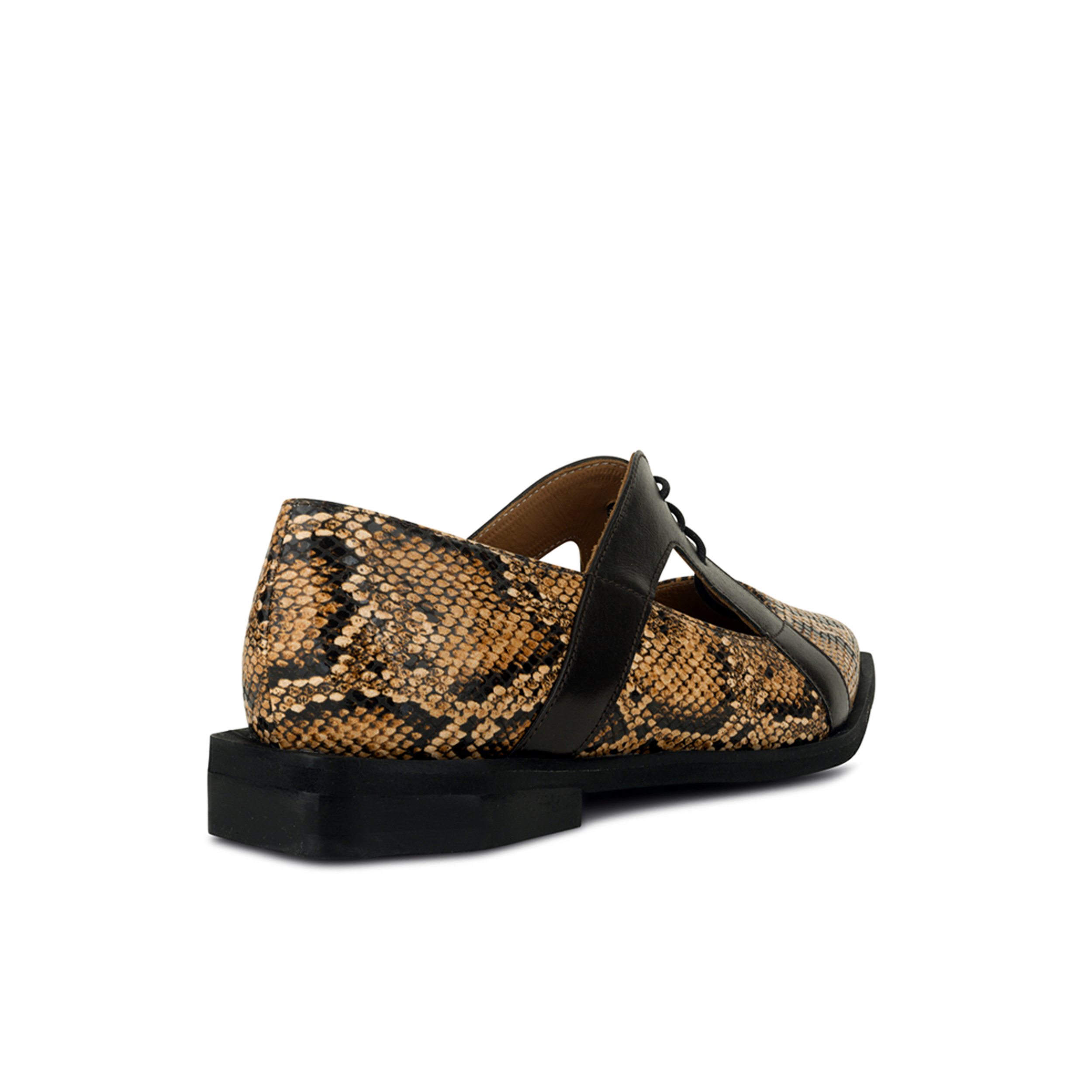 Harlowe - Brown Snake - Women's cutout leather lace up shoe