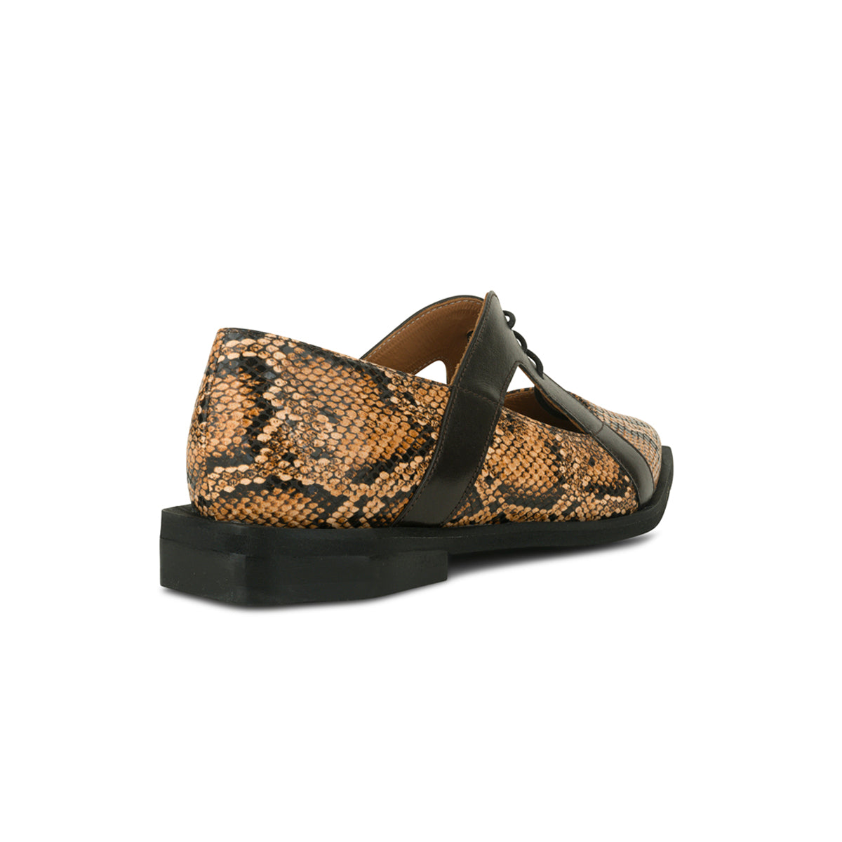 Harlowe - Brown Snake - Women's cutout leather lace up shoe