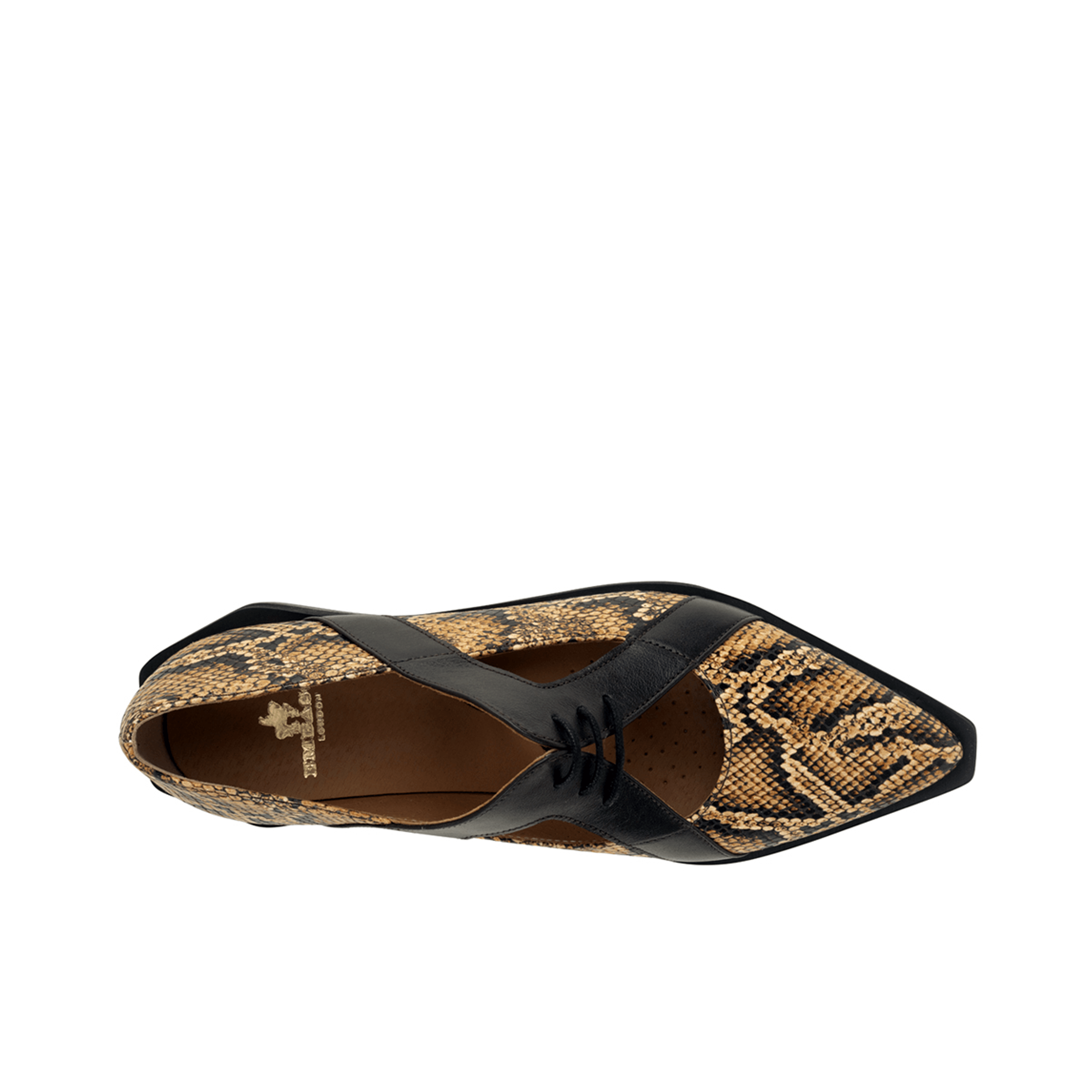 Harlowe - Brown Snake - Women's cutout leather lace up shoe
