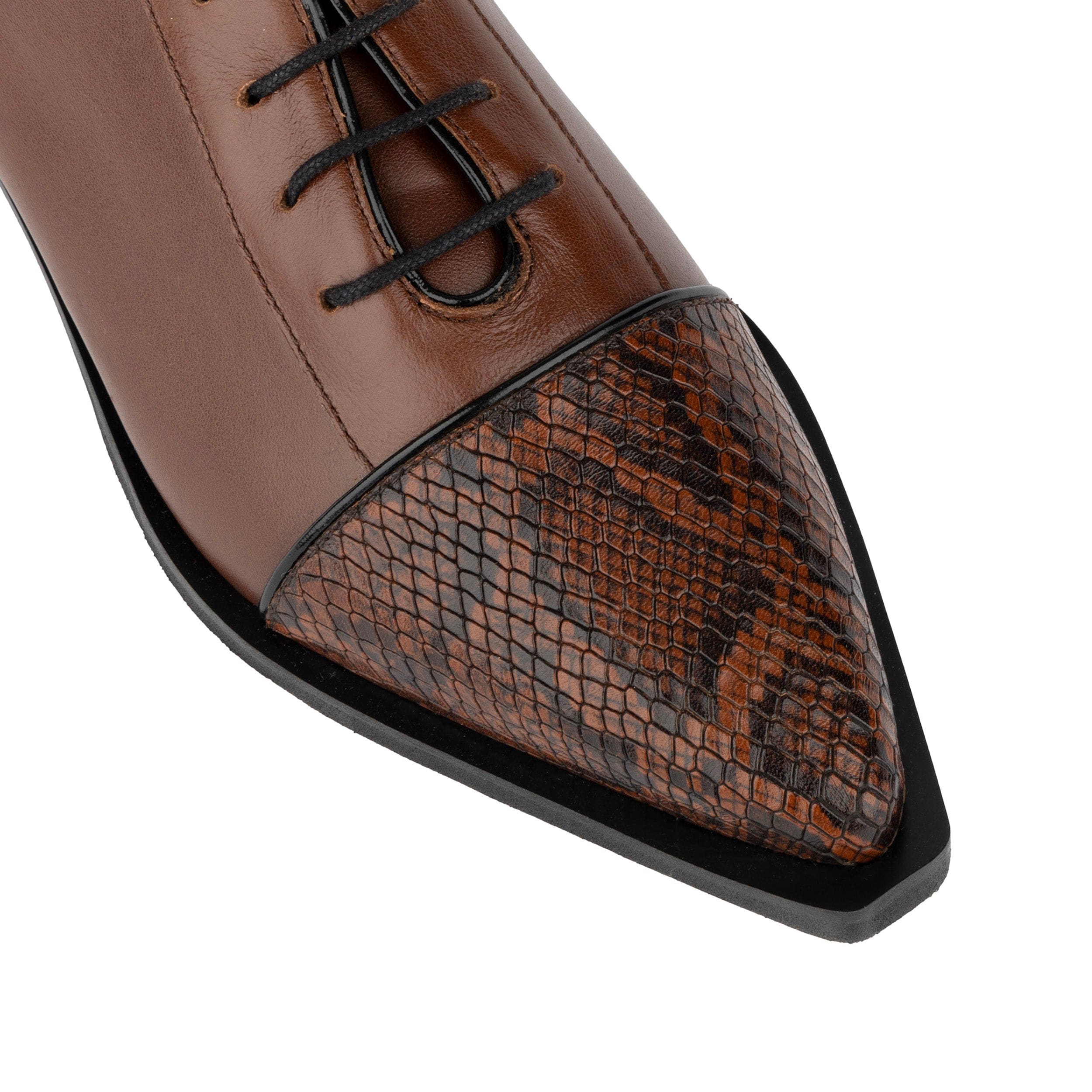 Sloan - Brown & Snake - Women's Leather Oxford with Snakeskin toe