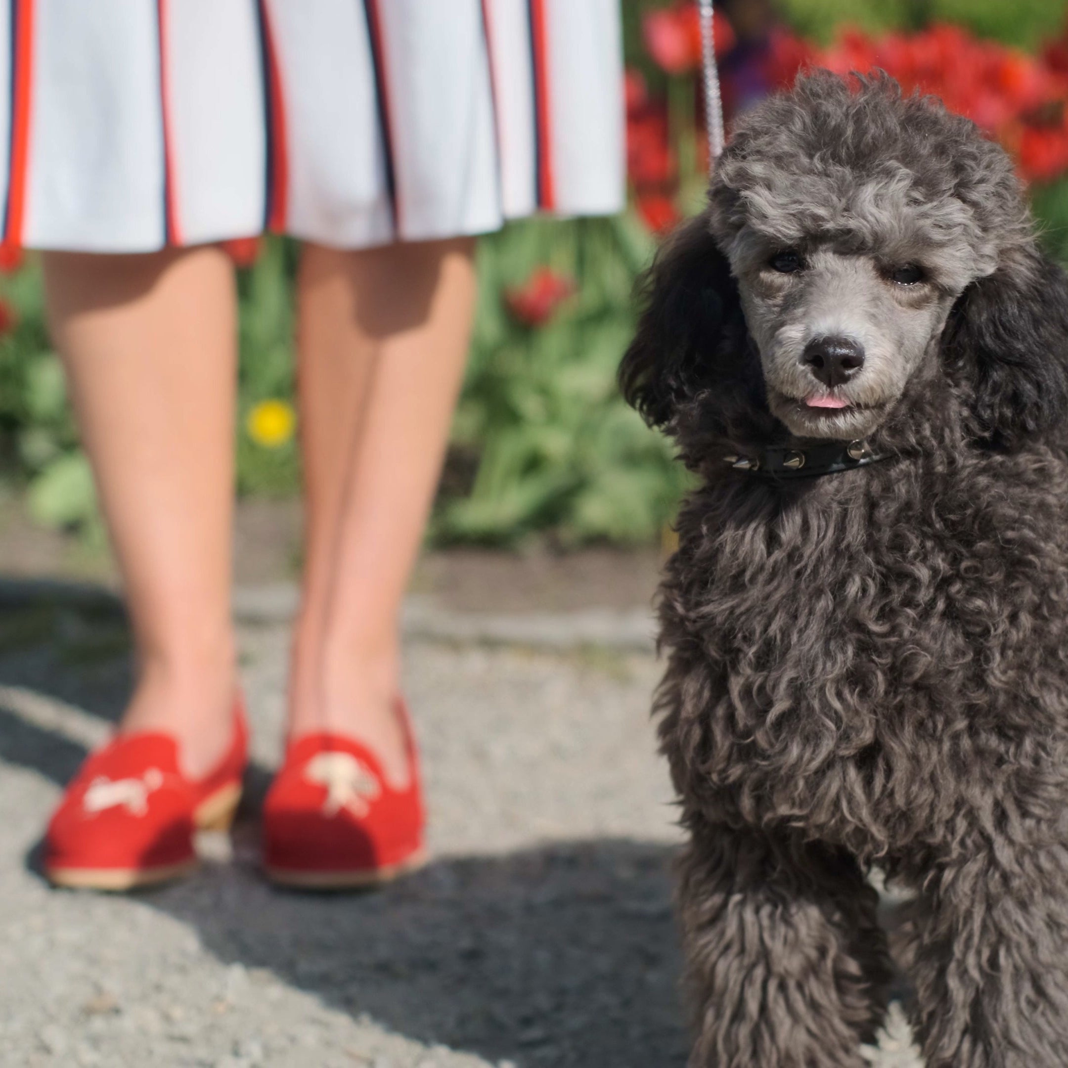 Fetch - Red - Women's round toe poodle embroidered comfy leather loafer