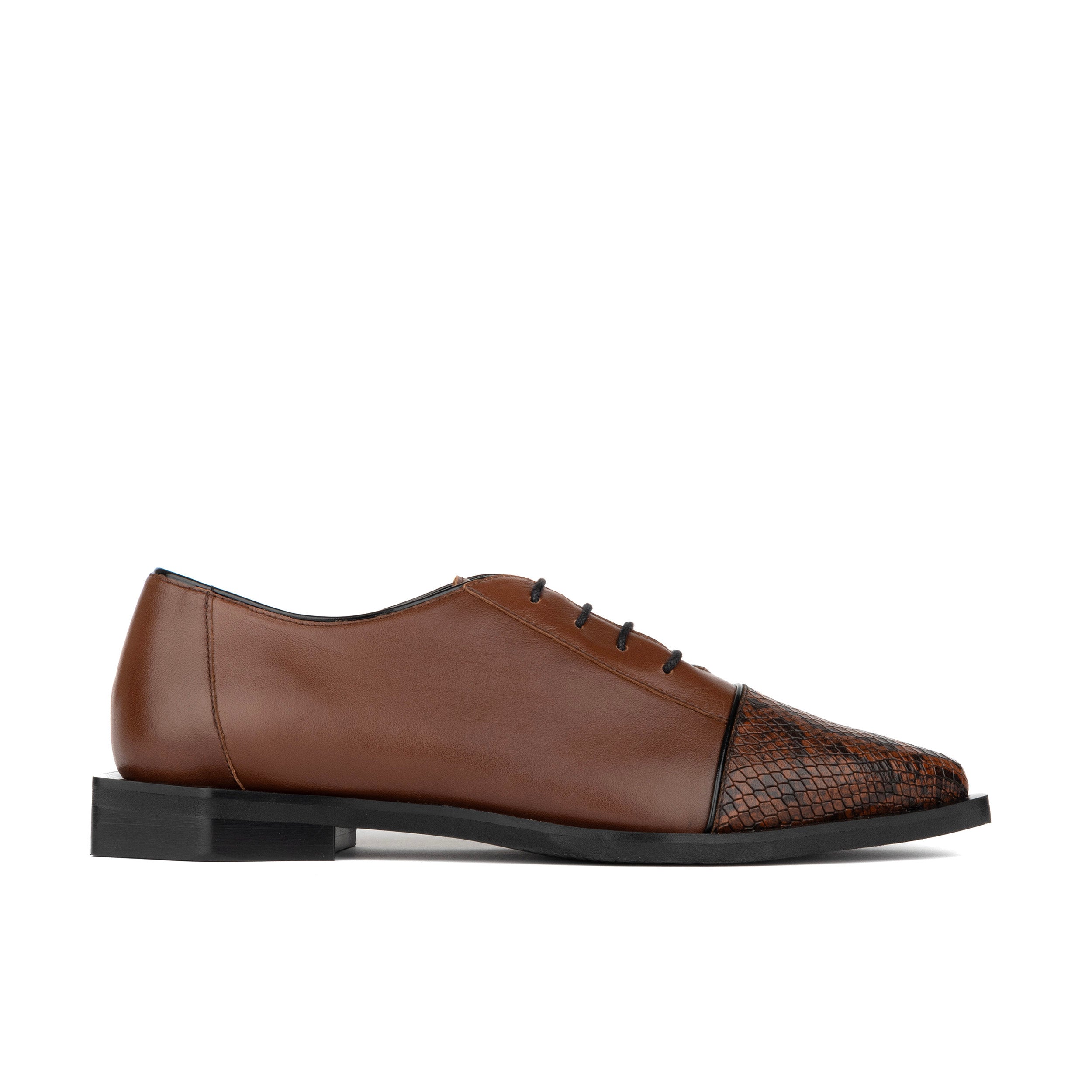 Sloan - Brown & Snake - Women's Leather Oxford with Snakeskin toe