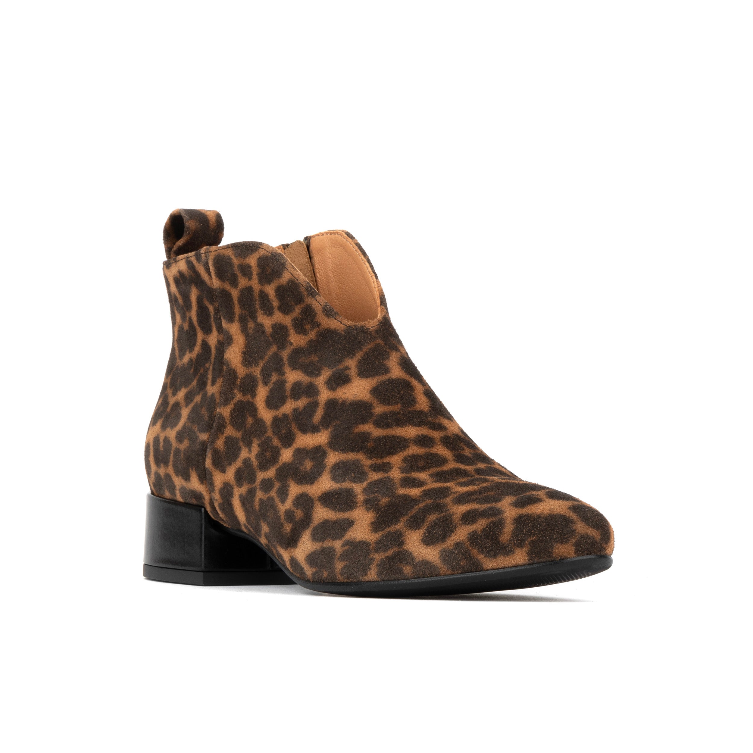 IRIS LEOPARD - Women's leopard print nubuck leather ankle boot with zip