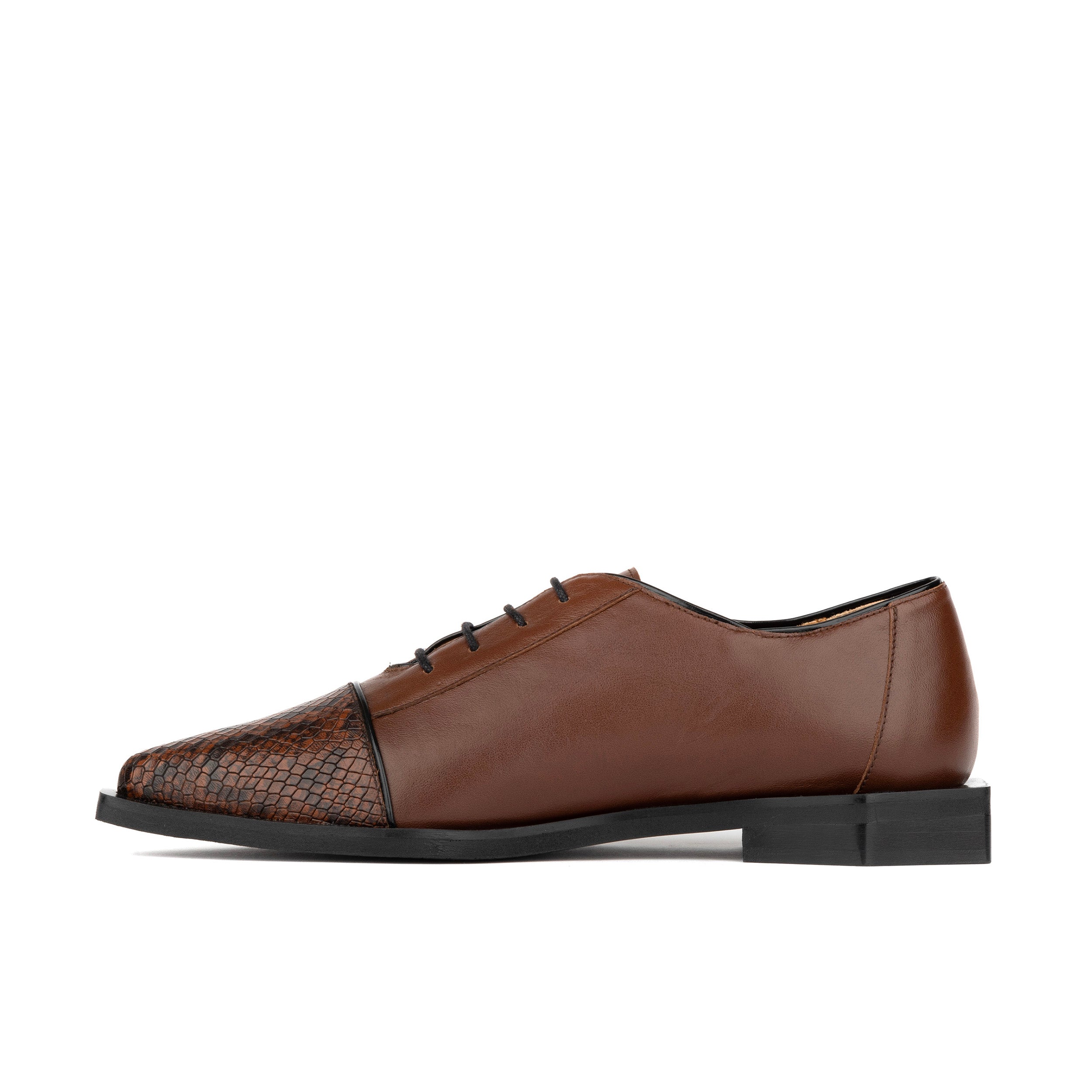 Sloan - Brown & Snake - Women's Leather Oxford with Snakeskin toe