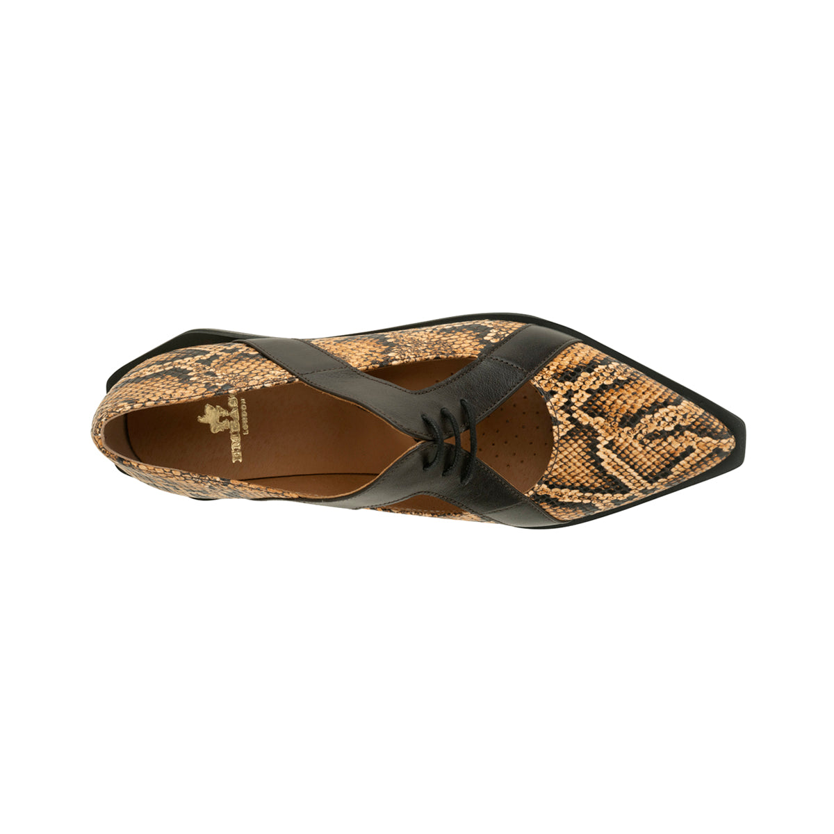 Harlowe - Brown Snake - Women's cutout leather lace up shoe